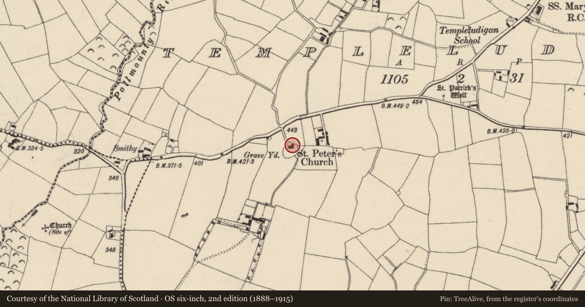 Ordnance Survey six-inch map, 2nd edition (1888–1915) covering the location of Church, Templeludigan, County Wexford, with a pin at the register's coordinates