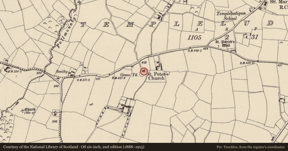 Ordnance Survey six-inch map, 2nd edition (1888–1915) covering the location of Graveyard, Templeludigan, County Wexford, with a pin at the register's coordinates