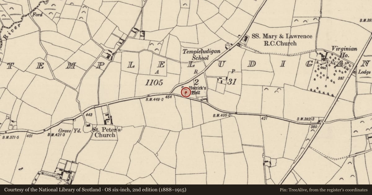 Ordnance Survey six-inch map, 2nd edition (1888–1915) covering the location of Ritual site - holy well, Templeludigan, County Wexford, with a pin at the register's coordinates