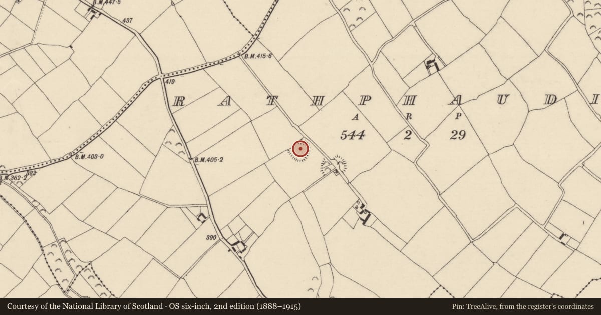 Ordnance Survey six-inch map, 2nd edition (1888–1915) covering the location of Ringfort - rath, Rathphaudin, County Wexford, with a pin at the register's coordinates