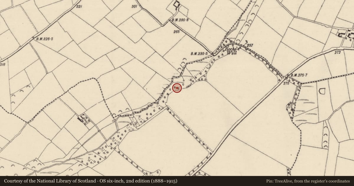 Ordnance Survey six-inch map, 2nd edition (1888–1915) covering the location of Church, Killegney, County Wexford, with a pin at the register's coordinates