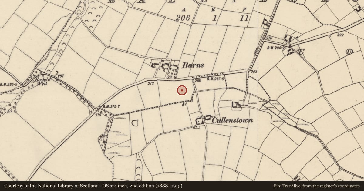 Ordnance Survey six-inch map, 2nd edition (1888–1915) covering the location of Moated site, Ballyboro, County Wexford, with a pin at the register's coordinates