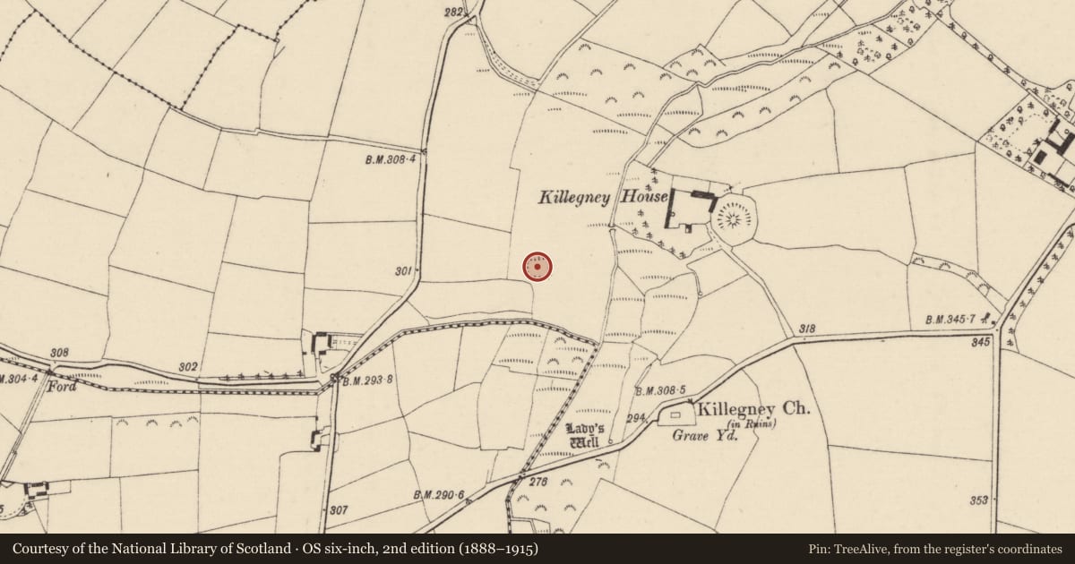 Ordnance Survey six-inch map, 2nd edition (1888–1915) covering the location of Moated site, Killegney, County Wexford, with a pin at the register's coordinates