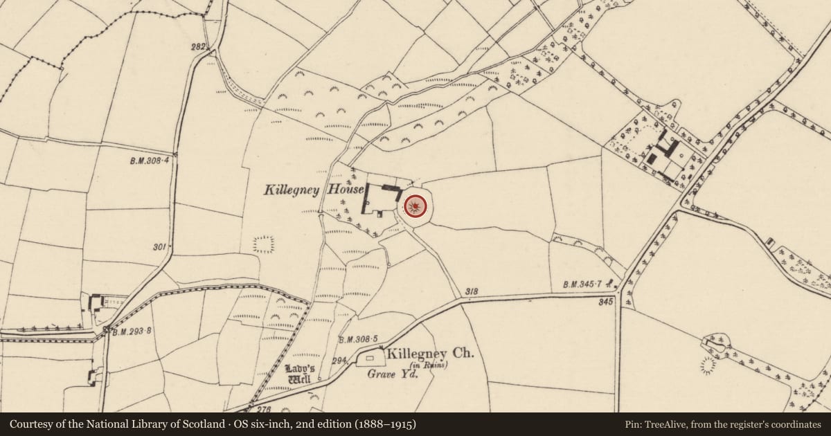 Ordnance Survey six-inch map, 2nd edition (1888–1915) covering the location of Castle - motte, Killegney, County Wexford, with a pin at the register's coordinates