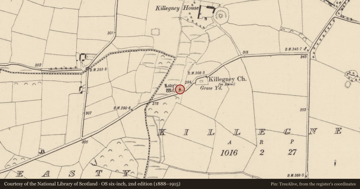Ordnance Survey six-inch map, 2nd edition (1888–1915) covering the location of Ritual site - holy well, Killegney, County Wexford, with a pin at the register's coordinates