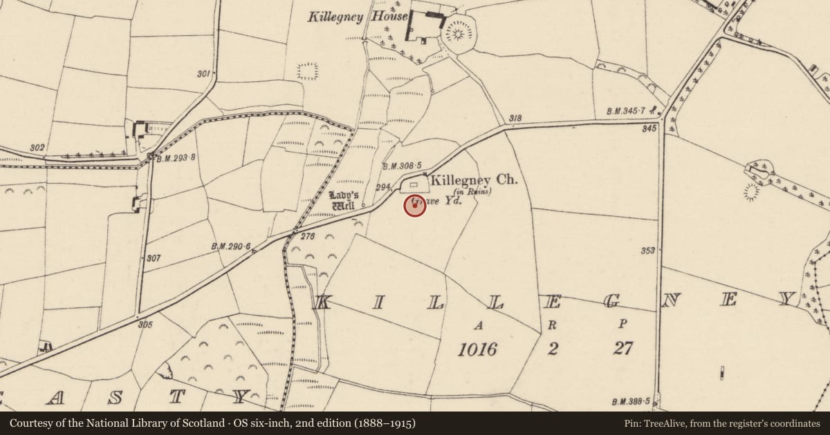 Ordnance Survey six-inch map, 2nd edition (1888–1915) covering the location of Field system, Killegney, County Wexford, with a pin at the register's coordinates