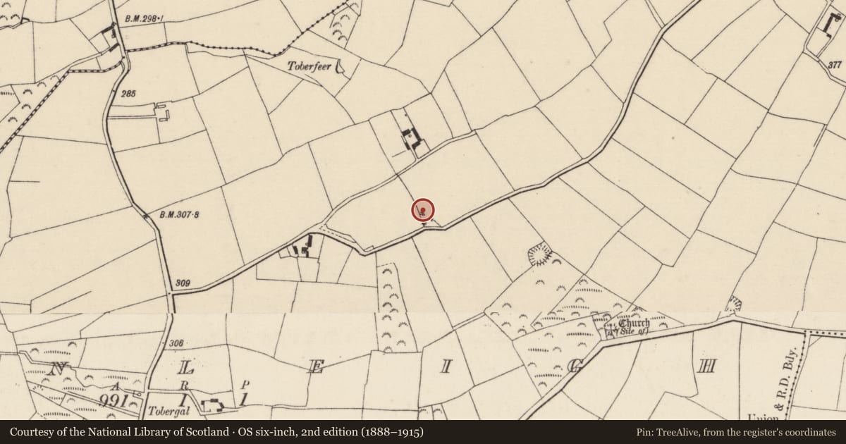 Ordnance Survey six-inch map, 2nd edition (1888–1915) covering the location of Ringfort - unclassified, Clonleigh, County Wexford, with a pin at the register's coordinates