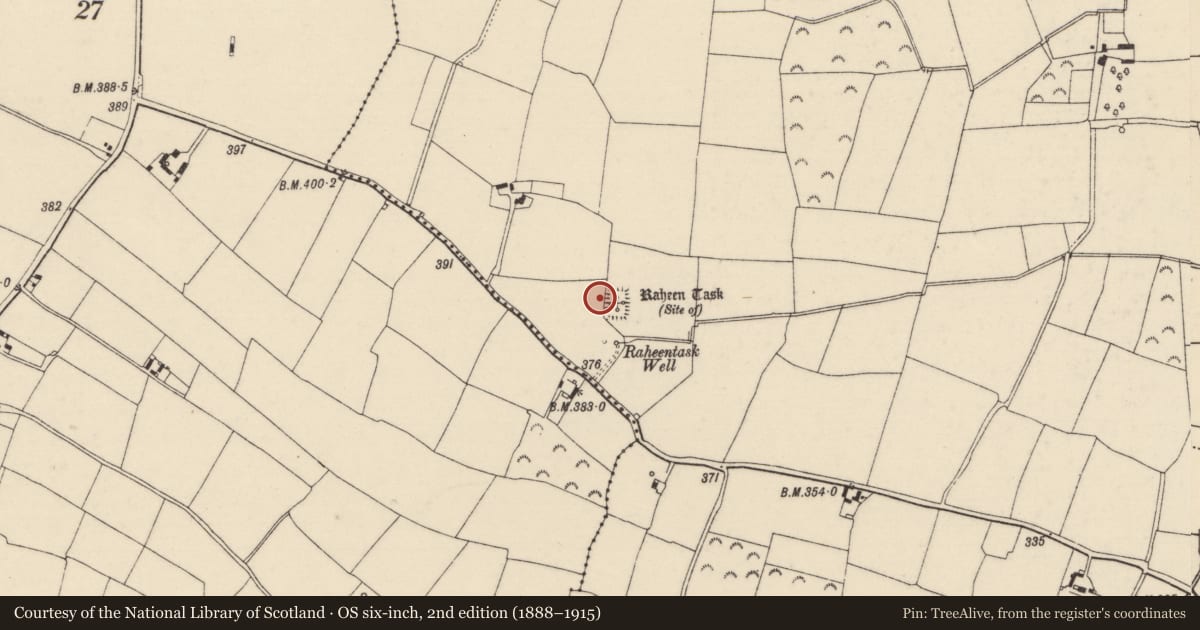 Ordnance Survey six-inch map, 2nd edition (1888–1915) covering the location of Moated site, Tominearly, County Wexford, with a pin at the register's coordinates