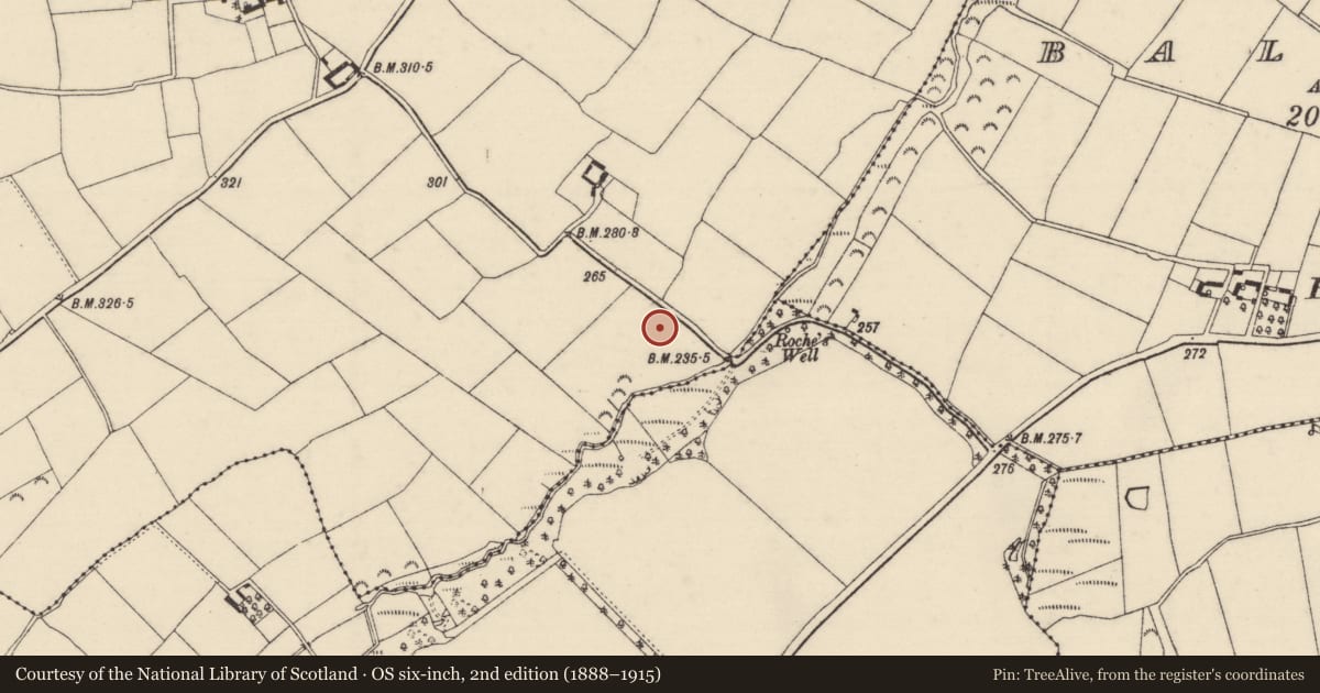 Ordnance Survey six-inch map, 2nd edition (1888–1915) covering the location of Ringfort - rath, Forrestalstown, County Wexford, with a pin at the register's coordinates