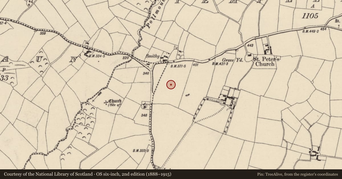 Ordnance Survey six-inch map, 2nd edition (1888–1915) covering the location of Enclosure, Templeludigan, County Wexford, with a pin at the register's coordinates