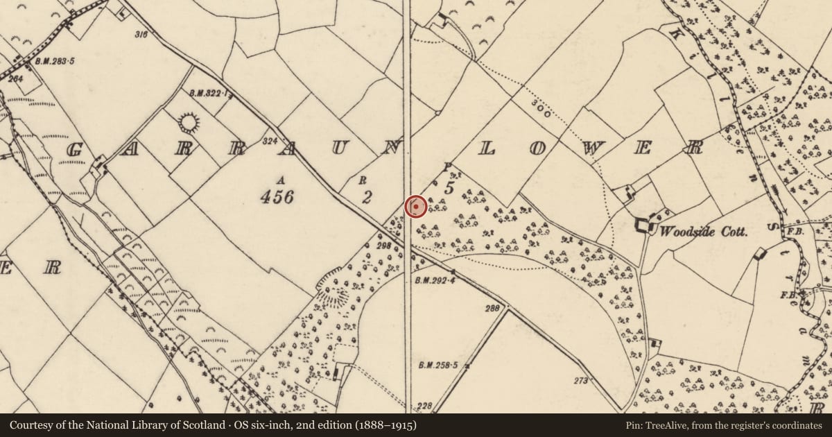 Ordnance Survey six-inch map, 2nd edition (1888–1915) covering the location of Church, Garraun Lower, County Wexford, with a pin at the register's coordinates