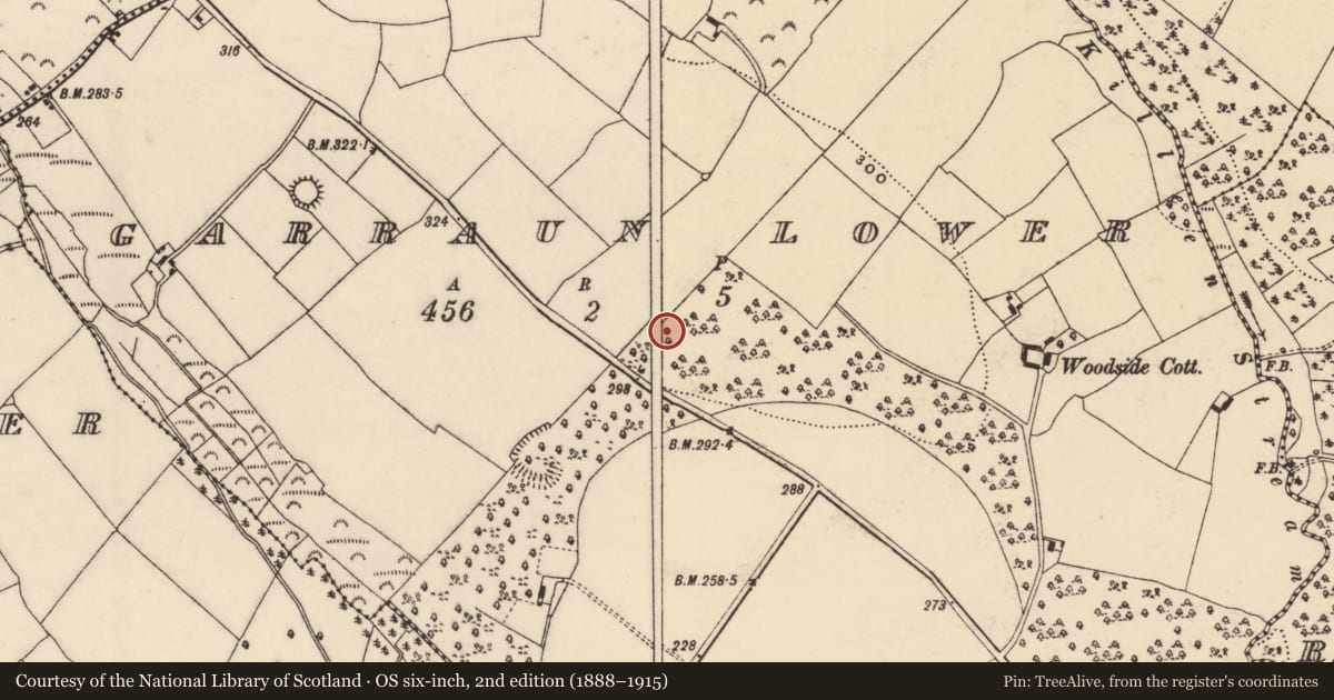 Ordnance Survey six-inch map, 2nd edition (1888–1915) covering the location of Bullaun stone, Garraun Lower, County Wexford, with a pin at the register's coordinates