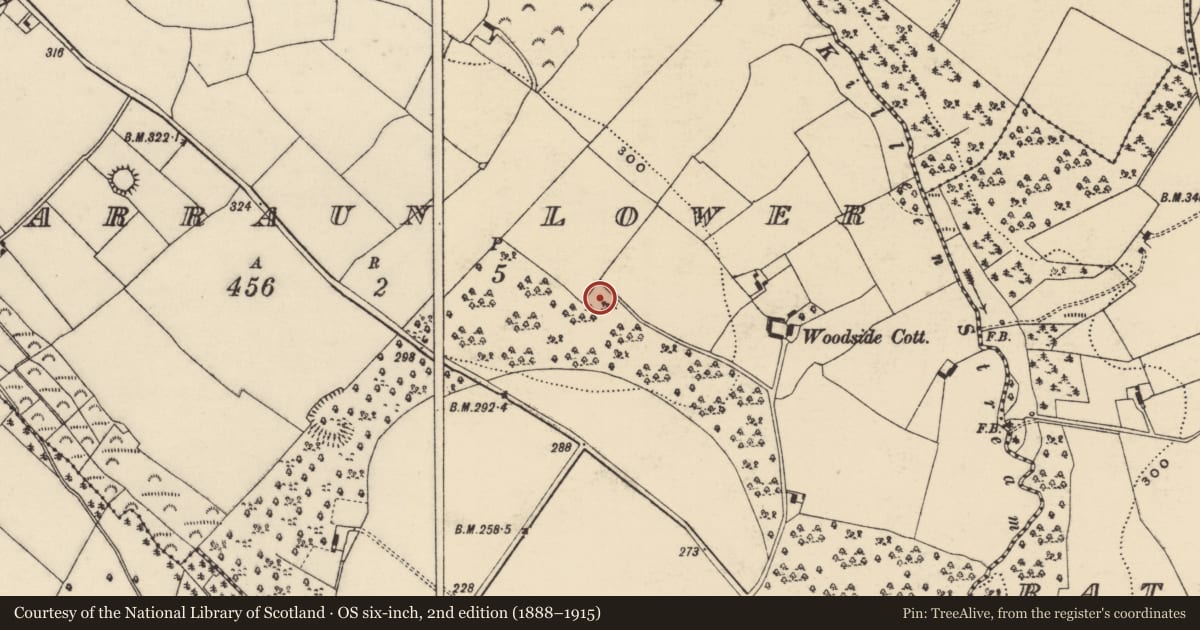 Ordnance Survey six-inch map, 2nd edition (1888–1915) covering the location of Church, Garraun Lower, County Wexford, with a pin at the register's coordinates