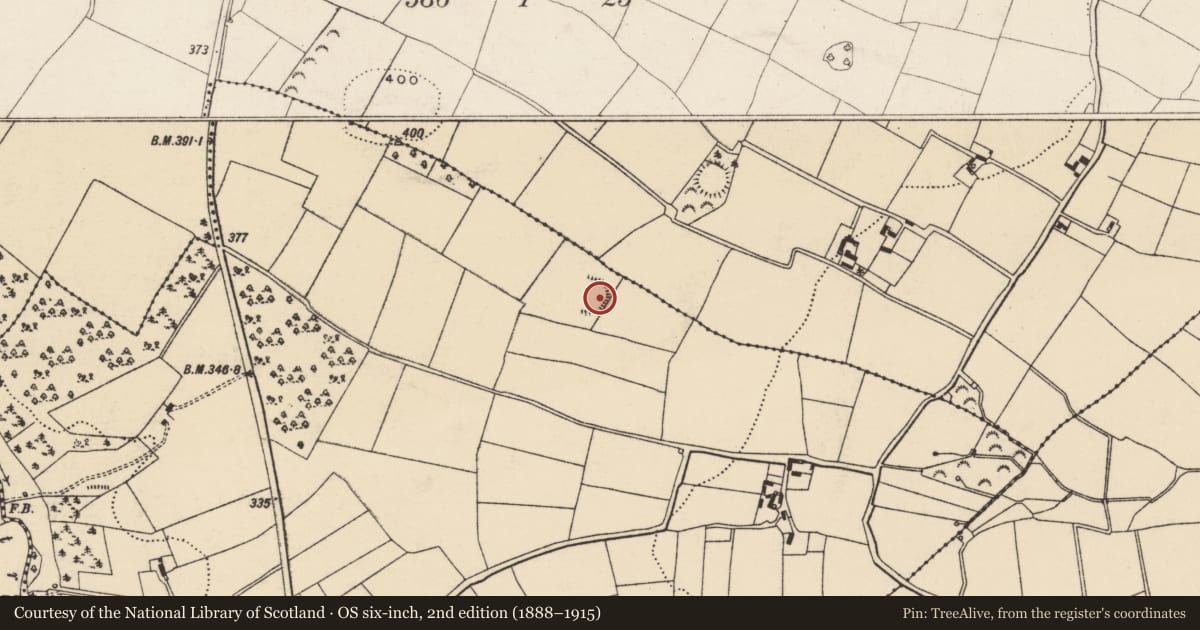 Ordnance Survey six-inch map, 2nd edition (1888–1915) covering the location of Ringfort - unclassified, Rathfylane, County Wexford, with a pin at the register's coordinates