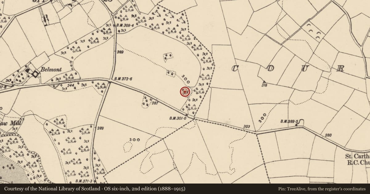 Ordnance Survey six-inch map, 2nd edition (1888–1915) covering the location of Ringfort - rath, Rathfylane, County Wexford, with a pin at the register's coordinates
