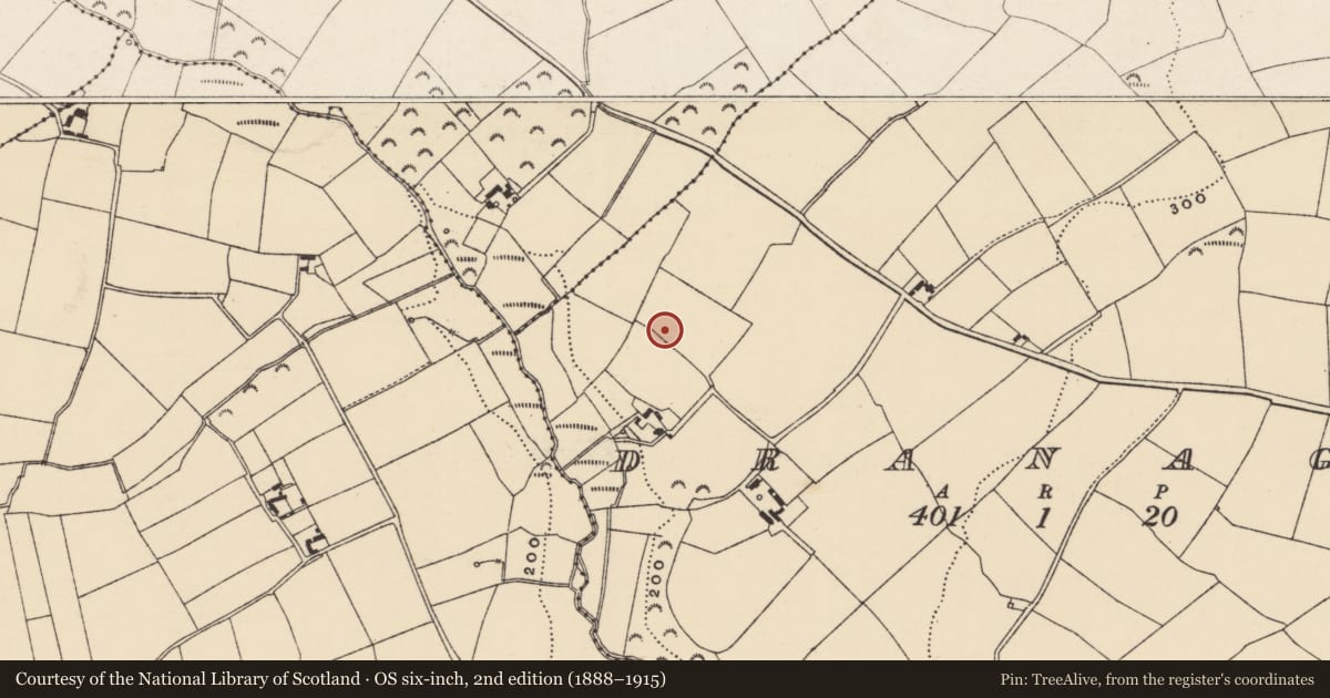 Ordnance Survey six-inch map, 2nd edition (1888–1915) covering the location of Ringfort - unclassified, Dranagh, County Wexford, with a pin at the register's coordinates