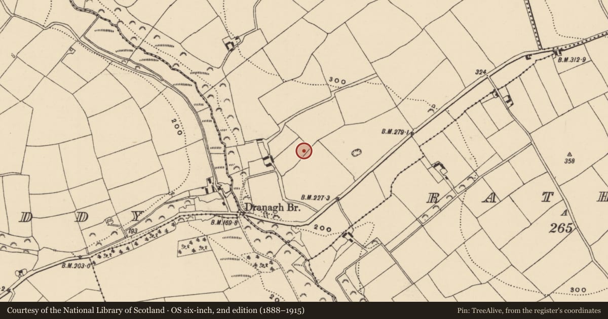 Ordnance Survey six-inch map, 2nd edition (1888–1915) covering the location of Souterrain, Dranagh, County Wexford, with a pin at the register's coordinates