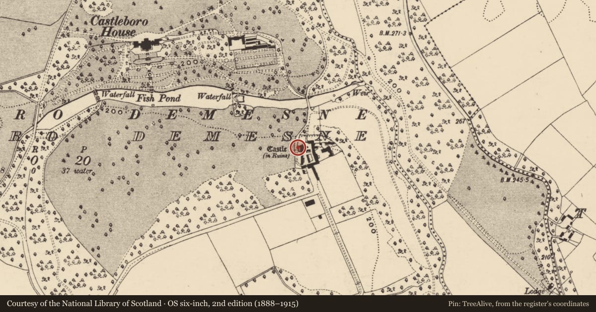Ordnance Survey six-inch map, 2nd edition (1888–1915) covering the location of House - 17th century, Castleboro Demesne, County Wexford, with a pin at the register's coordinates