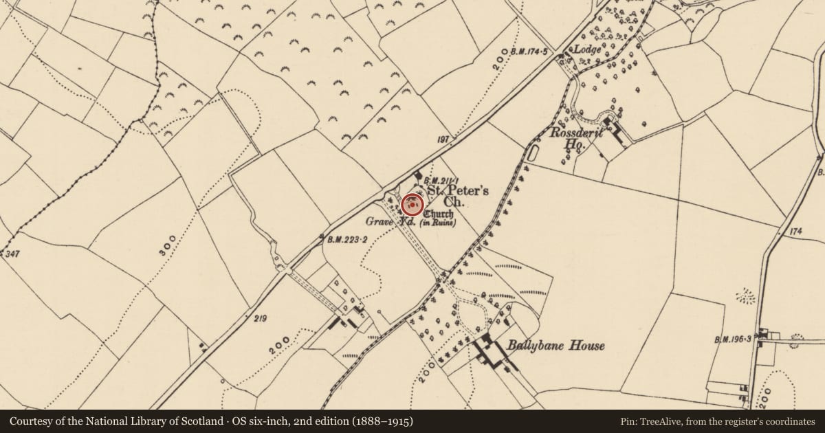 Ordnance Survey six-inch map, 2nd edition (1888–1915) covering the location of Church, Moneytucker, County Wexford, with a pin at the register's coordinates