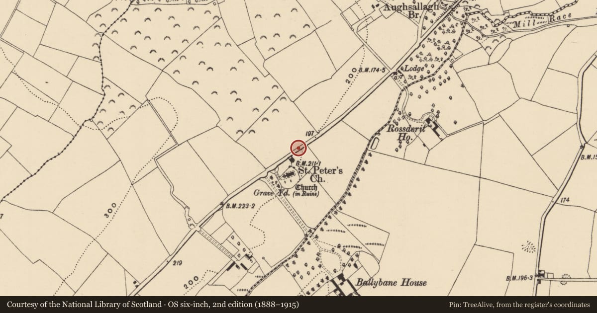 Ordnance Survey six-inch map, 2nd edition (1888–1915) covering the location of Field boundary, Moneytucker, County Wexford, with a pin at the register's coordinates