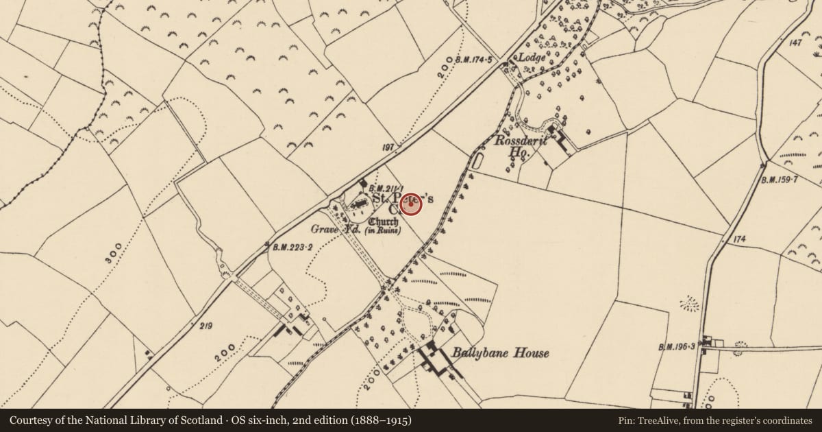 Ordnance Survey six-inch map, 2nd edition (1888–1915) covering the location of Enclosure, Moneytucker, County Wexford, with a pin at the register's coordinates