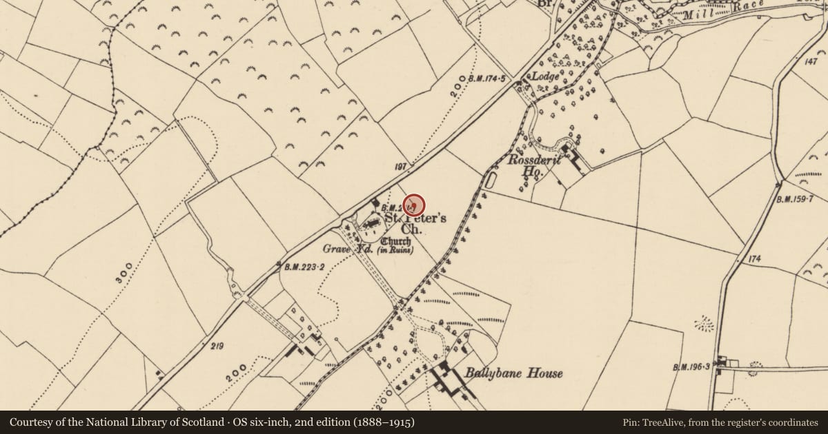 Ordnance Survey six-inch map, 2nd edition (1888–1915) covering the location of Ecclesiastical enclosure, Moneytucker, County Wexford, with a pin at the register's coordinates