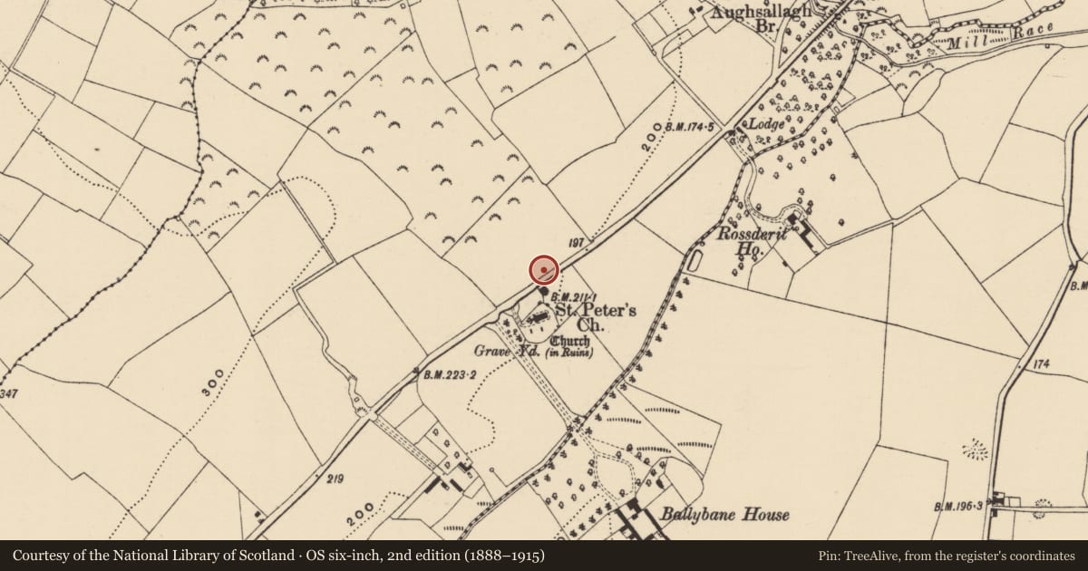 Ordnance Survey six-inch map, 2nd edition (1888–1915) covering the location of Hut site, Moneytucker, County Wexford, with a pin at the register's coordinates