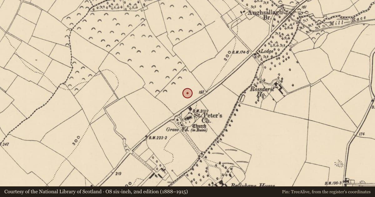 Ordnance Survey six-inch map, 2nd edition (1888–1915) covering the location of Structure, Moneytucker, County Wexford, with a pin at the register's coordinates