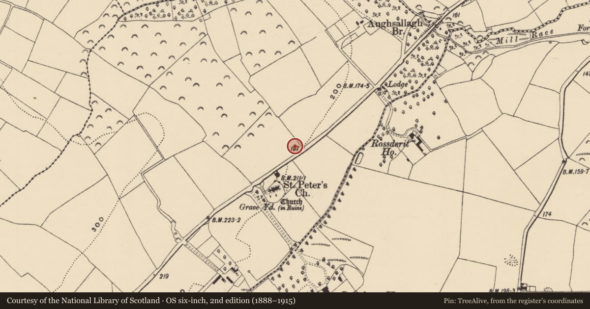 Ordnance Survey six-inch map, 2nd edition (1888–1915) covering the location of Hut site, Moneytucker, County Wexford, with a pin at the register's coordinates