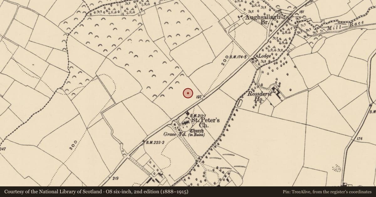 Ordnance Survey six-inch map, 2nd edition (1888–1915) covering the location of Structure, Moneytucker, County Wexford, with a pin at the register's coordinates