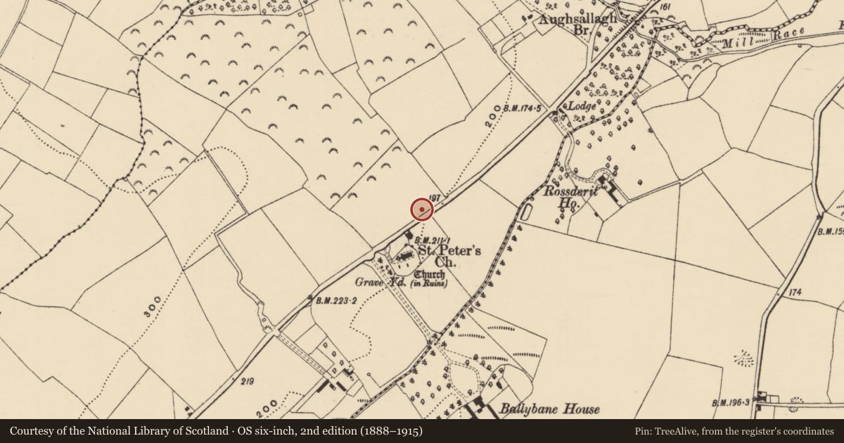 Ordnance Survey six-inch map, 2nd edition (1888–1915) covering the location of Field system, Moneytucker, County Wexford, with a pin at the register's coordinates