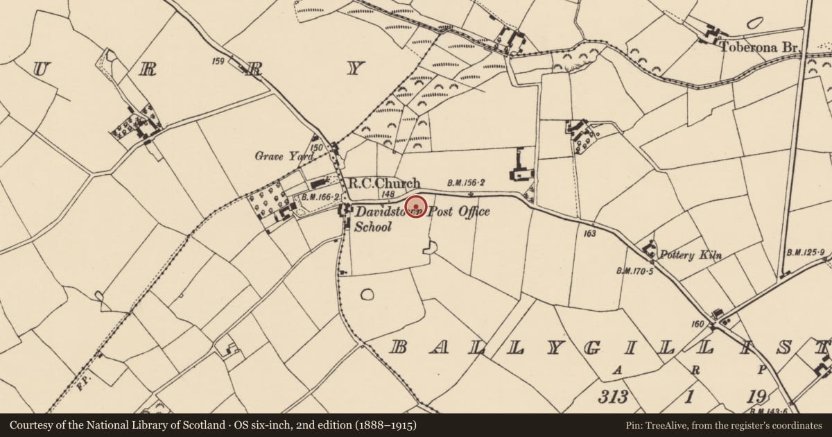 Ordnance Survey six-inch map, 2nd edition (1888–1915) covering the location of Pit-burial, Ballygillistown, County Wexford, with a pin at the register's coordinates