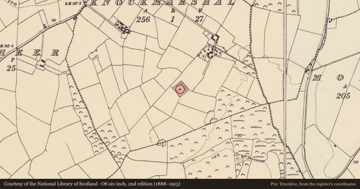 Ordnance Survey six-inch map, 2nd edition (1888–1915) covering the location of Moated site, Knockmarshal, County Wexford, with a pin at the register's coordinates