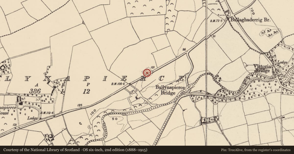 Ordnance Survey six-inch map, 2nd edition (1888–1915) covering the location of Moated site, Ballynapierce, County Wexford, with a pin at the register's coordinates