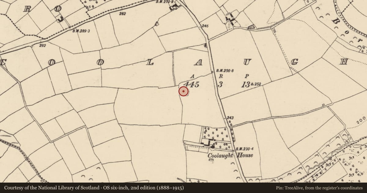 Ordnance Survey six-inch map, 2nd edition (1888–1915) covering the location of Barrow - unclassified, Coolaught, County Wexford, with a pin at the register's coordinates