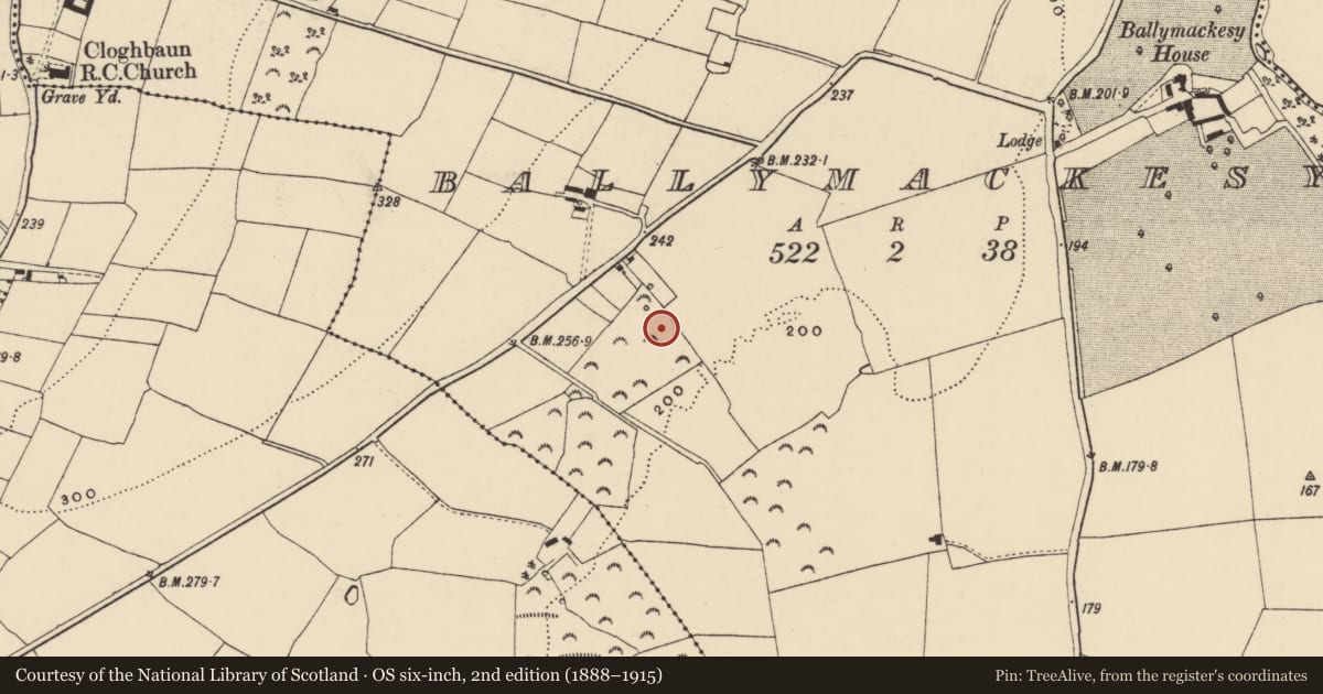 Ordnance Survey six-inch map, 2nd edition (1888–1915) covering the location of Burnt mound, Ballymackesy, County Wexford, with a pin at the register's coordinates