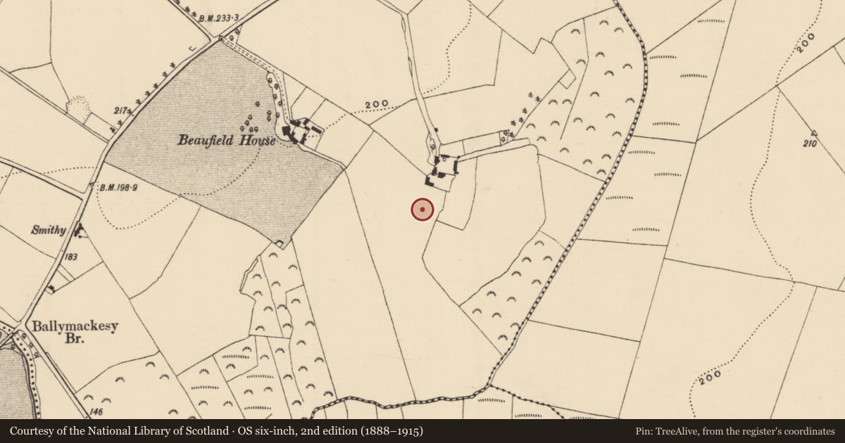 Ordnance Survey six-inch map, 2nd edition (1888–1915) covering the location of Moated site, Moneytucker, County Wexford, with a pin at the register's coordinates