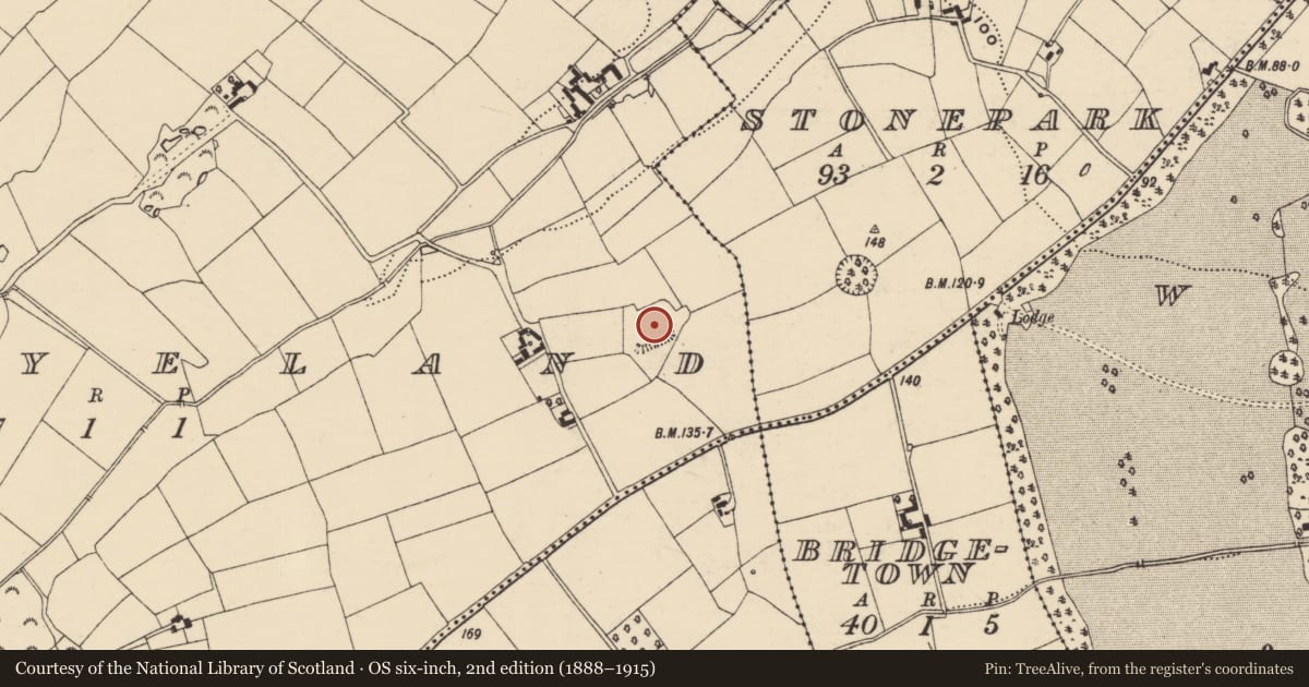 Ordnance Survey six-inch map, 2nd edition (1888–1915) covering the location of Moated site, Ballyeland, County Wexford, with a pin at the register's coordinates