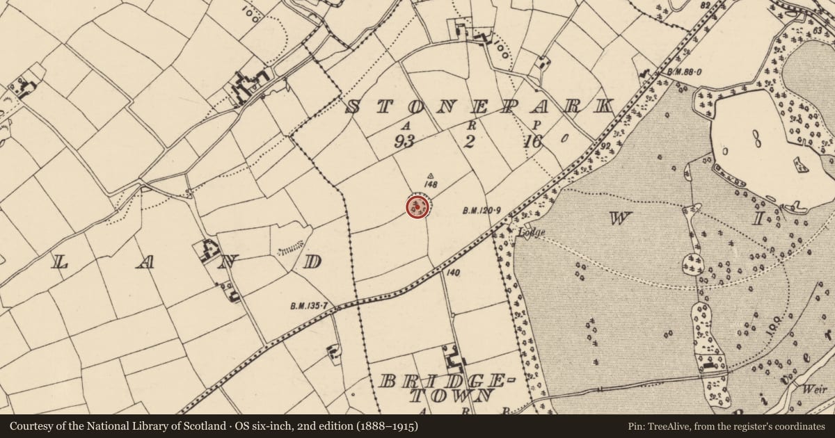 Ordnance Survey six-inch map, 2nd edition (1888–1915) covering the location of Enclosure, Stonepark, County Wexford, with a pin at the register's coordinates
