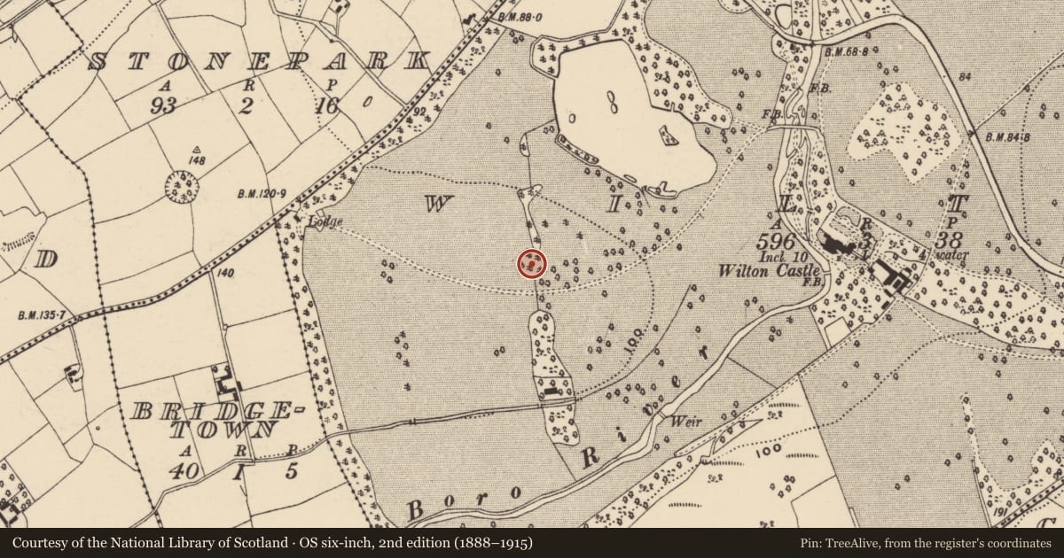 Ordnance Survey six-inch map, 2nd edition (1888–1915) covering the location of Enclosure, Wilton, County Wexford, with a pin at the register's coordinates