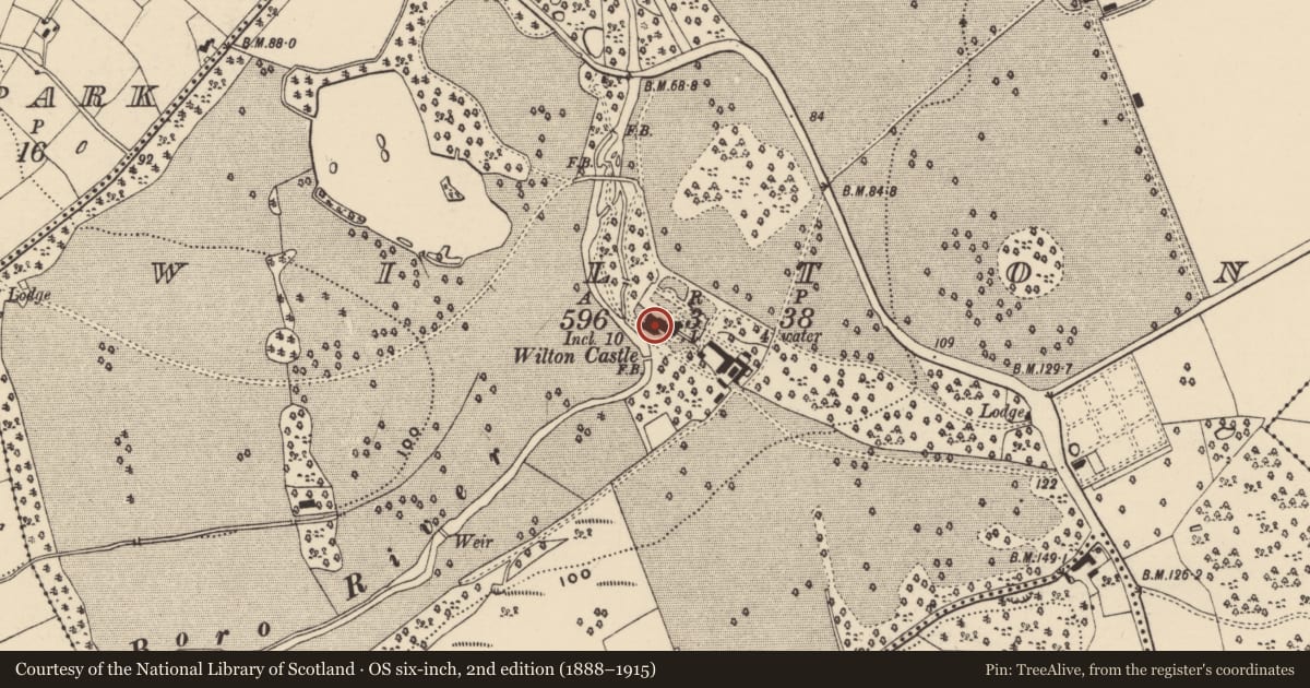Ordnance Survey six-inch map, 2nd edition (1888–1915) covering the location of House - 17th century, Wilton, County Wexford, with a pin at the register's coordinates