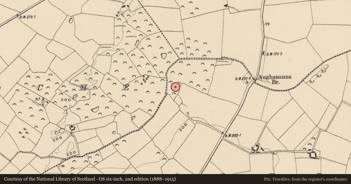 Ordnance Survey six-inch map, 2nd edition (1888–1915) covering the location of Moated site, Coolroe, County Wexford, with a pin at the register's coordinates