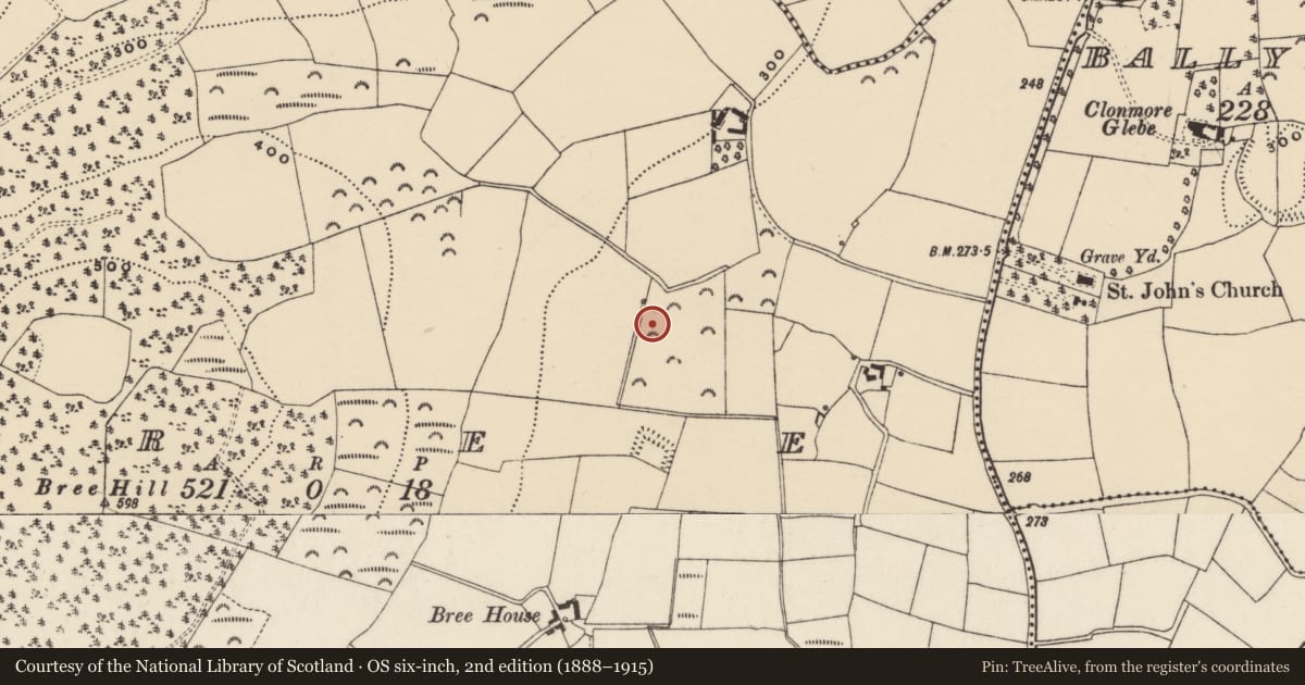 Ordnance Survey six-inch map, 2nd edition (1888–1915) covering the location of Moated site, Bree, County Wexford, with a pin at the register's coordinates