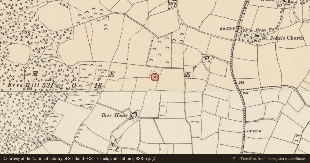 Ordnance Survey six-inch map, 2nd edition (1888–1915) covering the location of Moated site, Bree, County Wexford, with a pin at the register's coordinates