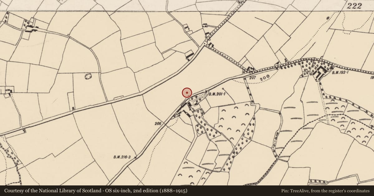 Ordnance Survey six-inch map, 2nd edition (1888–1915) covering the location of Mound, Templescoby, County Wexford, with a pin at the register's coordinates