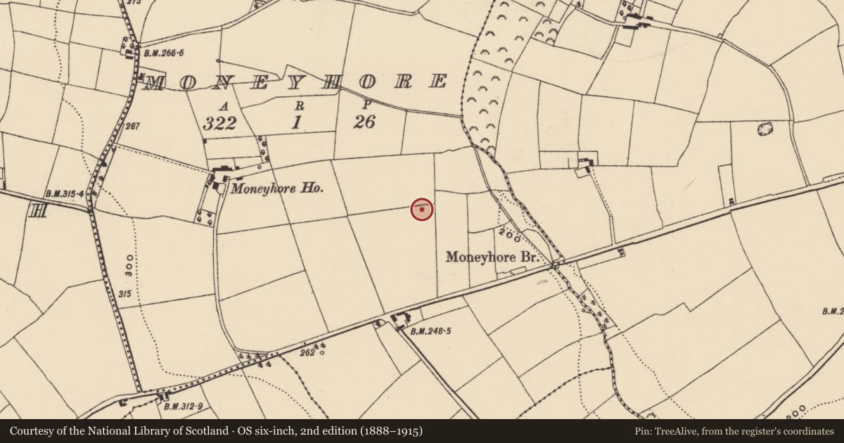 Ordnance Survey six-inch map, 2nd edition (1888–1915) covering the location of Architectural fragment, Moneyhore, County Wexford, with a pin at the register's coordinates