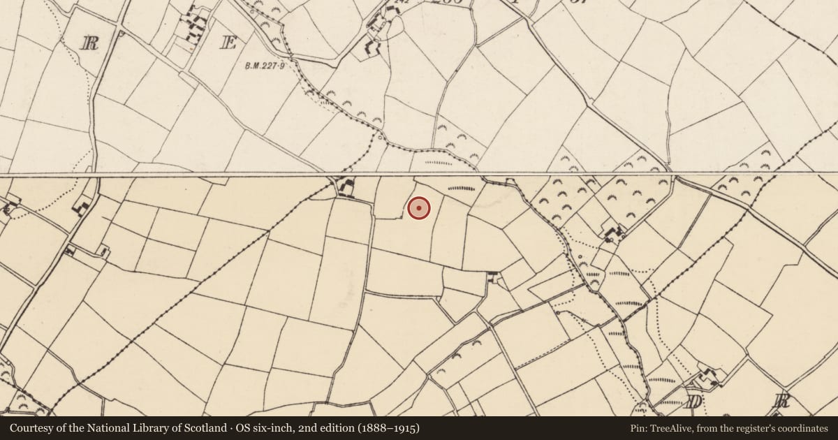 Ordnance Survey six-inch map, 2nd edition (1888–1915) covering the location of Ringfort - rath, Courtnacuddy, County Wexford, with a pin at the register's coordinates