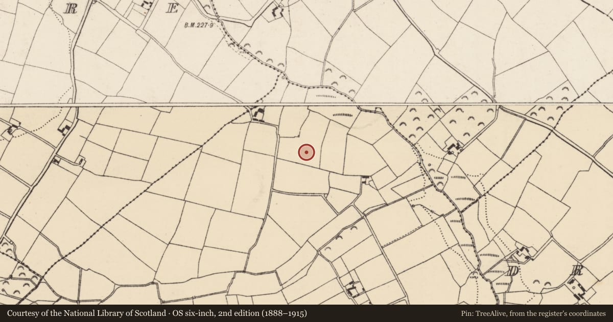 Ordnance Survey six-inch map, 2nd edition (1888–1915) covering the location of Ringfort - rath, Courtnacuddy, County Wexford, with a pin at the register's coordinates