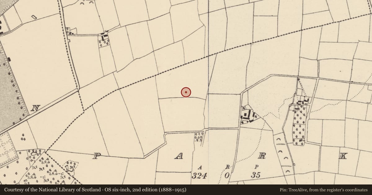 Ordnance Survey six-inch map, 2nd edition (1888–1915) covering the location of Ringfort - rath, Park, County Wexford, with a pin at the register's coordinates