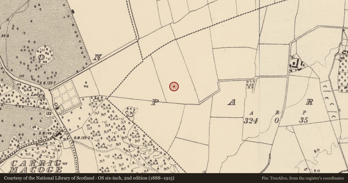 Ordnance Survey six-inch map, 2nd edition (1888–1915) covering the location of Concentric enclosure, Park, County Wexford, with a pin at the register's coordinates